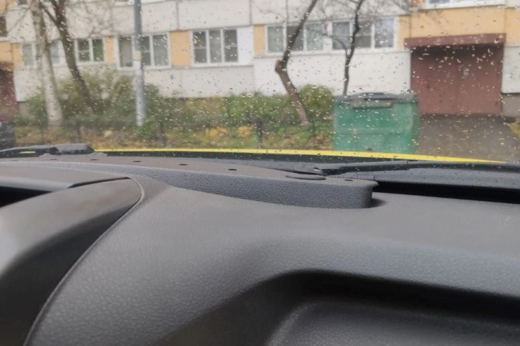 Дефлектор решетки обдува (печки) лобового стекла Лада Ларгус FL, Рено Дастер